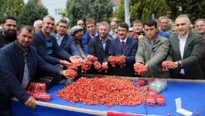 Sezonun ilk kirazı için sembolik açık artırma