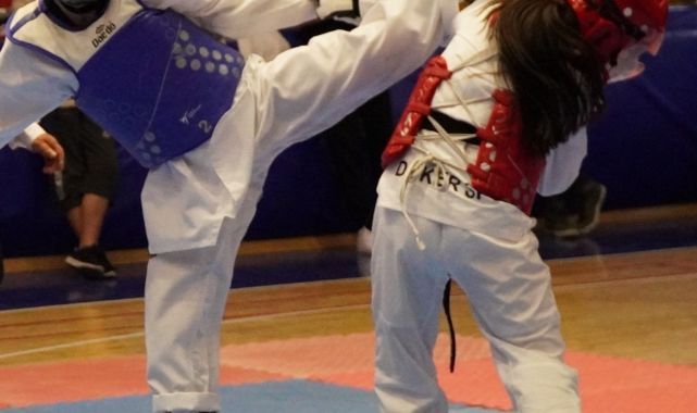 TAEKWONDOCULARDAN 12 MADALYA