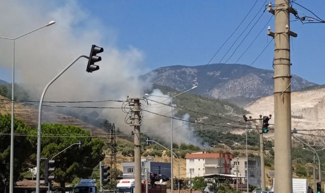 Manisa'nın Örnekköy Mahallesi'nde orman yangını başladı