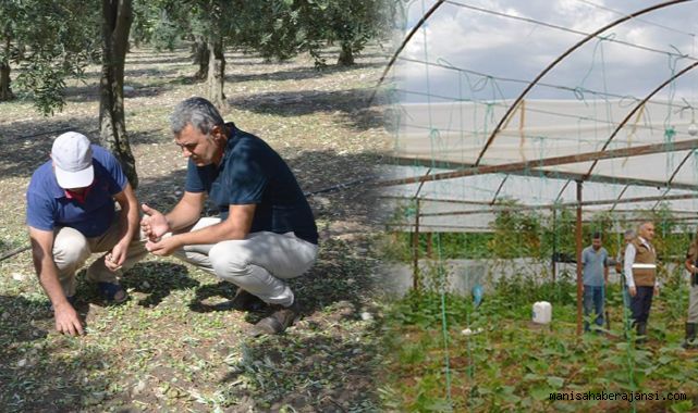 Doludan Zarar Gören Arazilerde Hasar Tespit Çalışmaları Yapılıyor