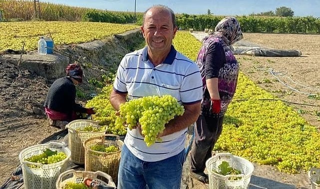Hakan Gürtunca: "Eyvah Eyvah, İran Üzümü Yine Yakacak Bizi"
