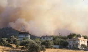 Manisa'da çıkan orman yangını kontrol altına alındı