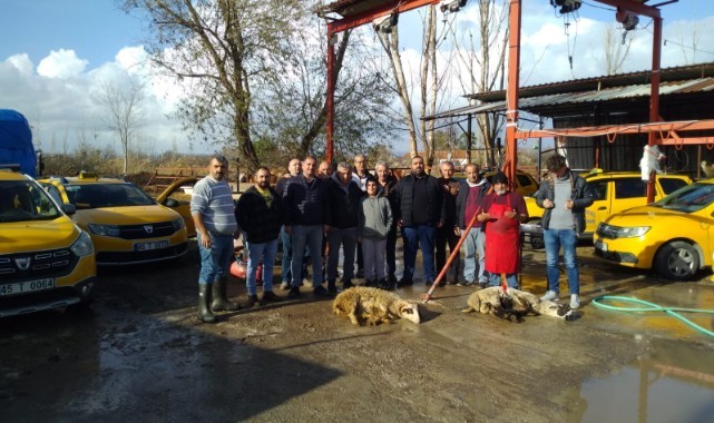 Başdoruk Firması, Taksi Filosu Kurdu