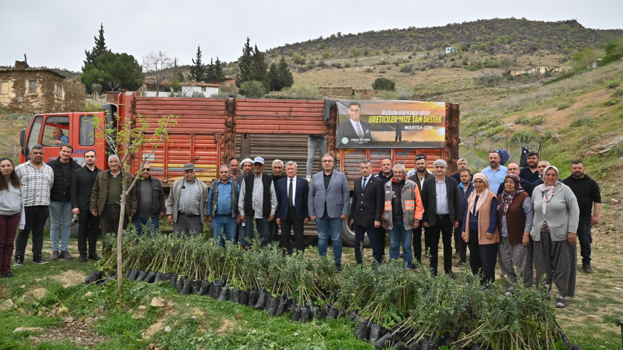 Yangının Yaraları Fidanlarla Sarılıyor
