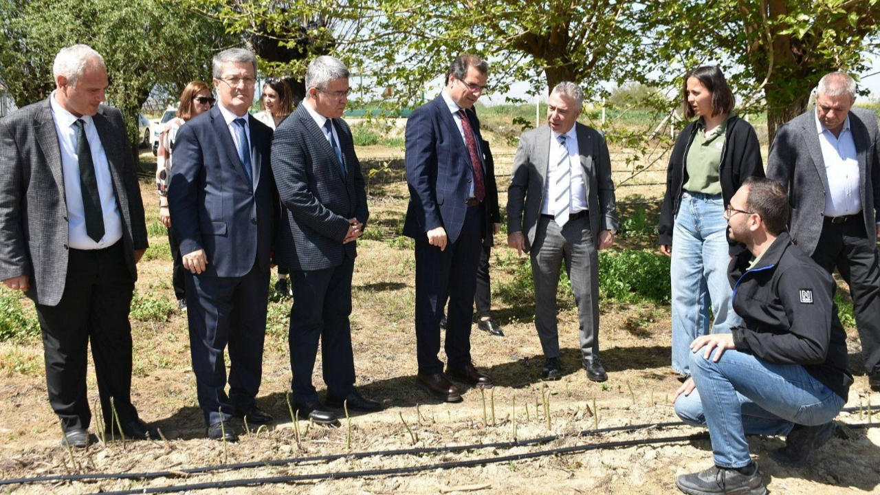 Salihli’de Kuşkonmaz Hasadı Başladı: Avrupa’ya İhracat Yapılıyor