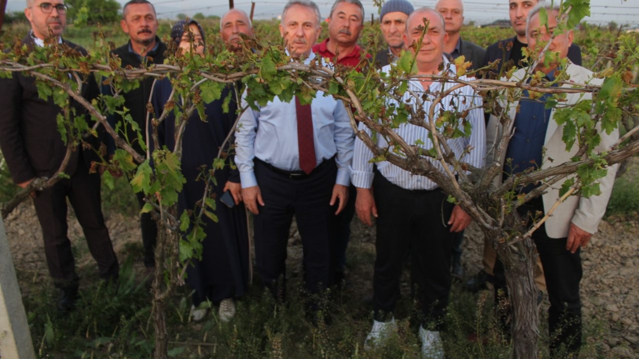 Özdağ: “Üreticinin Borcu Ertelensin, Üzüm Bağları Geleceğimizdir”