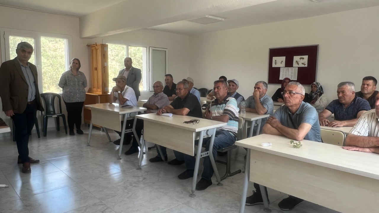 Manisa Büyükşehir’den Arıcılara Ücretsiz Ana Arı Desteği