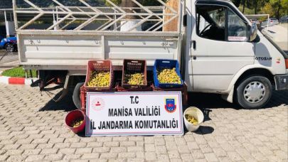 Kırkağaç’ta Meyve Bahçesinden İncir Çalan 5 Kişi Suçüstü Yakalandı