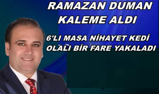 6'LI MASA KEDİ OLALI NİHAYET BİR FARE TUTTU.