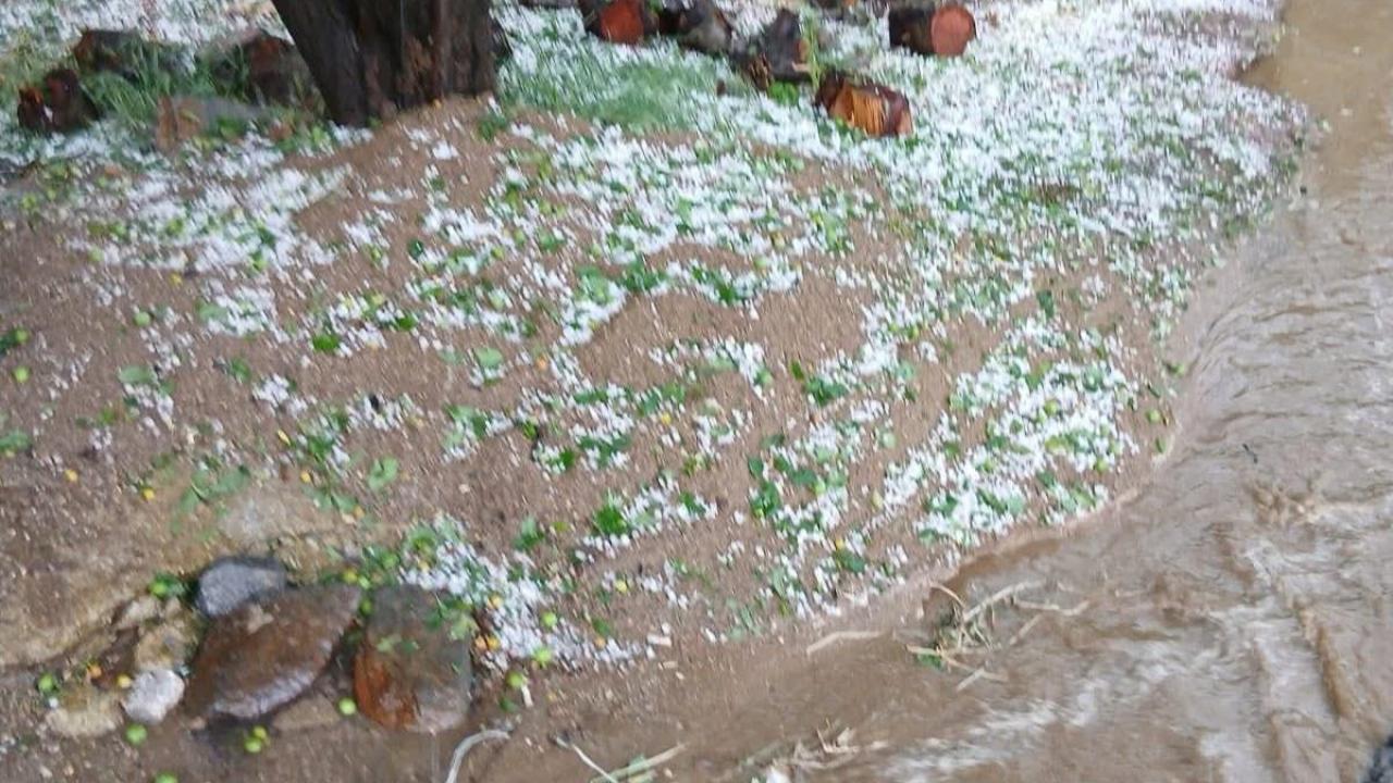 Manisa'da Dolu Felaketi: Çiftçinin Mahsulü Zarar Gördü