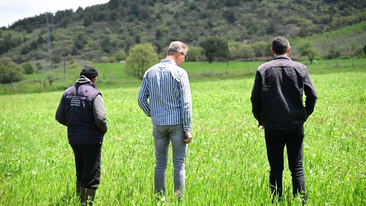 Büyükşehir’in Dağıttığı Tohumlar Tarlalarda Yeşerdi