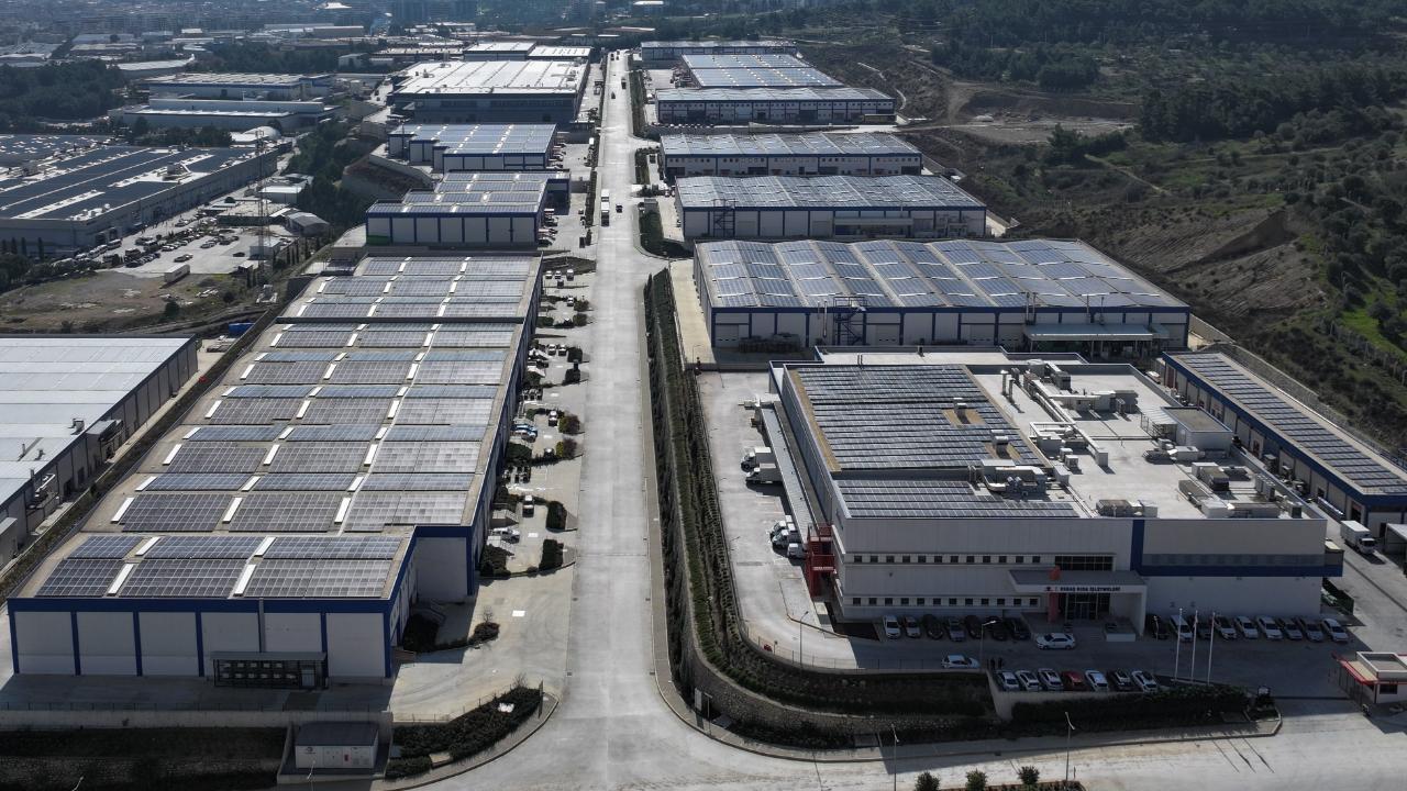 ESBAŞ’tan Çevreci Dönüşüm: Bir Yılda 8 Bin Ağaç Kurtarıldı