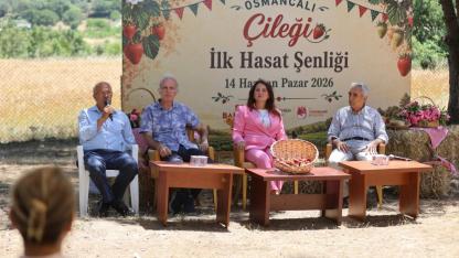 Osmancalı Çileği’nin İlk Hasadı Şenlikle Yapıldı