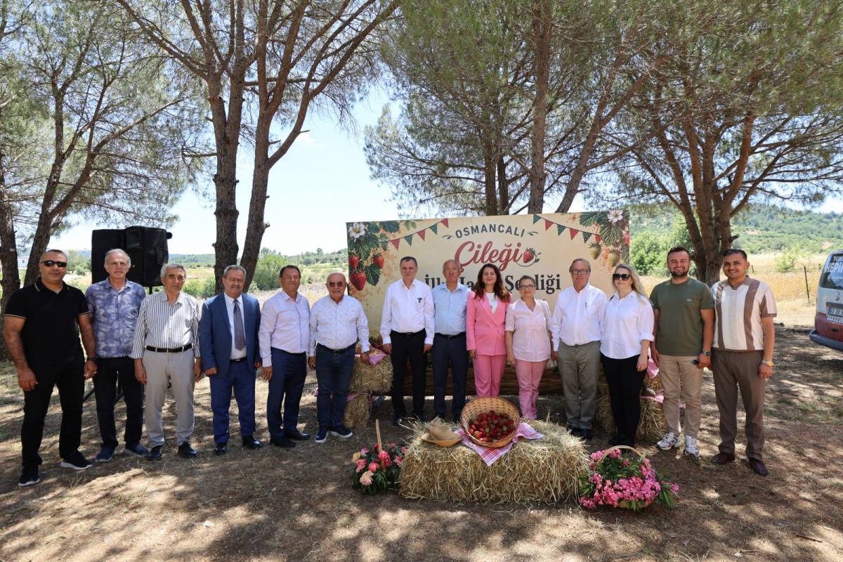 Osmancalı Çileği’nin İlk Hasadı Şenlikle Yapıldı